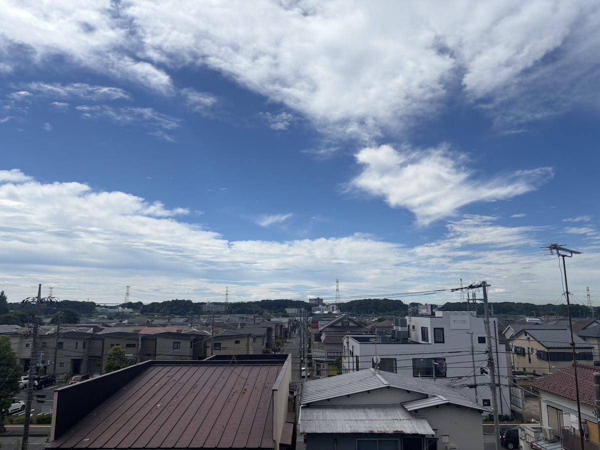 千葉県我孫子市緑の売買物件/バルコニーから見た風景。手賀沼を望むのはちょっと厳しそう