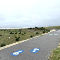 千葉県旭市足川の売買物件/近くの海岸沿いにある飯岡九十九里自転車道線。世界に誇るナショナルサイクルルート