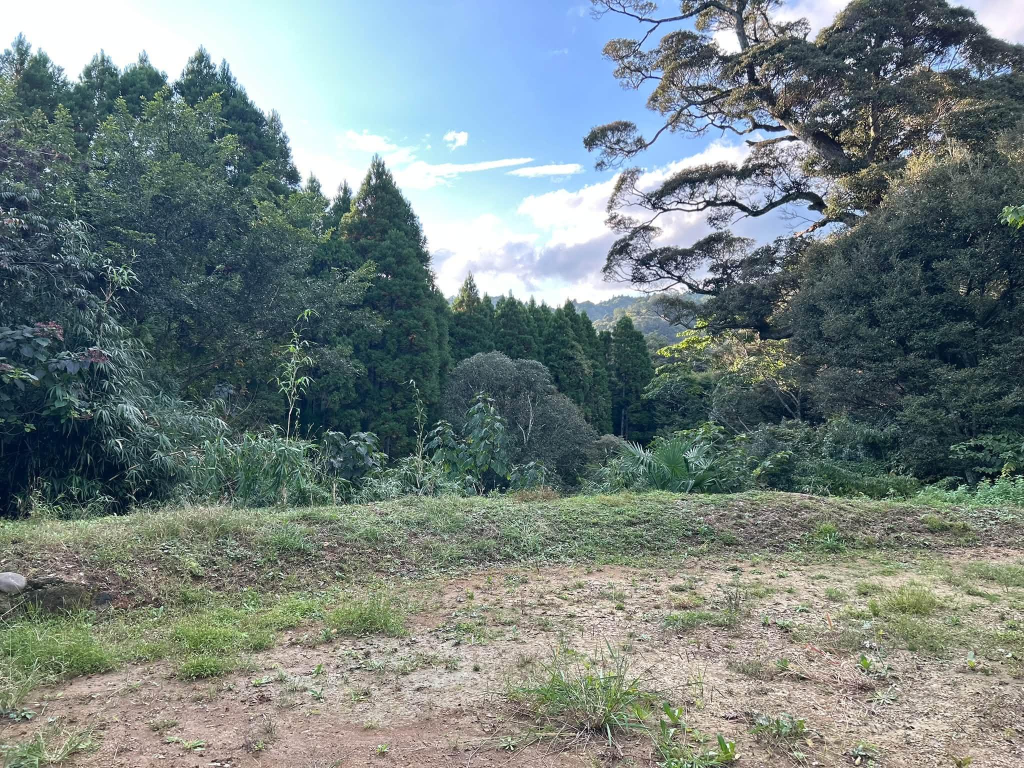 千葉県夷隅郡大多喜町平沢の売買物件/西側にある林