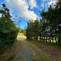 千葉県夷隅郡大多喜町平沢の売買物件/敷地側から道路を見る。