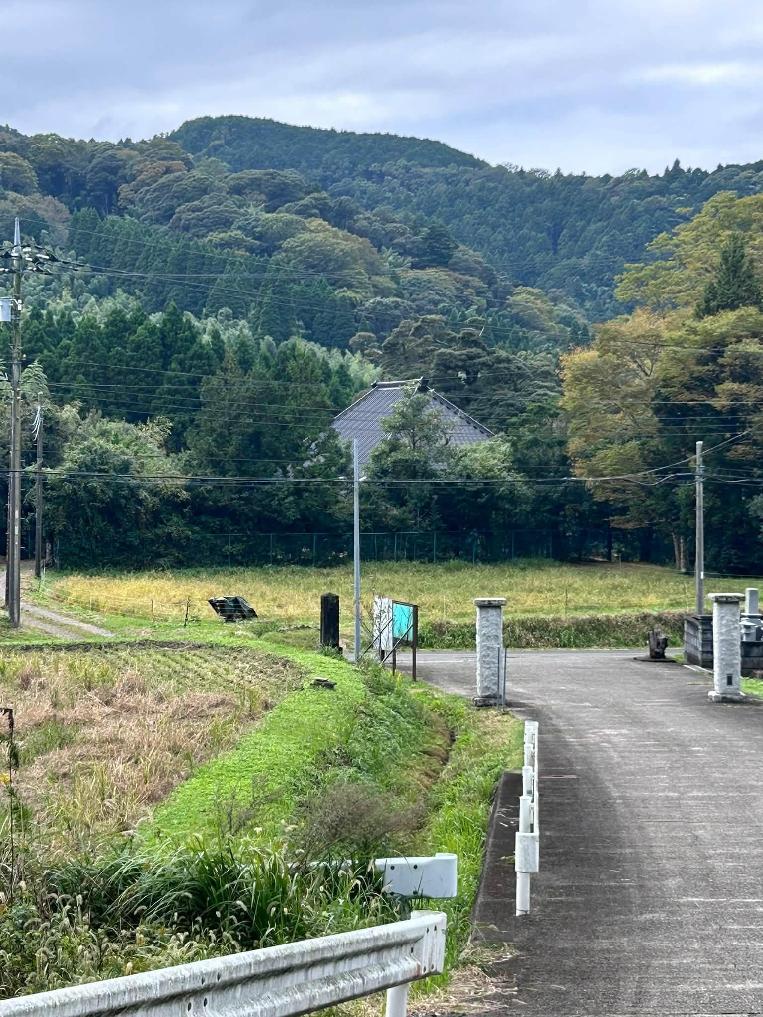千葉県夷隅郡大多喜町平沢の売買物件/家の向かいには歴史のある寺がある。寺側からは屋敷森に囲まれて屋根だけが見える。