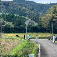 千葉県夷隅郡大多喜町平沢の売買物件/家の向かいには歴史のある寺がある。寺側からは屋敷森に囲まれて屋根だけが見える。
