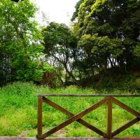 糸島市志摩井田原の売買物件/建物から見た裏庭の眺め。前方の木々を整えたら気持ち良い眺望が開けそう。
