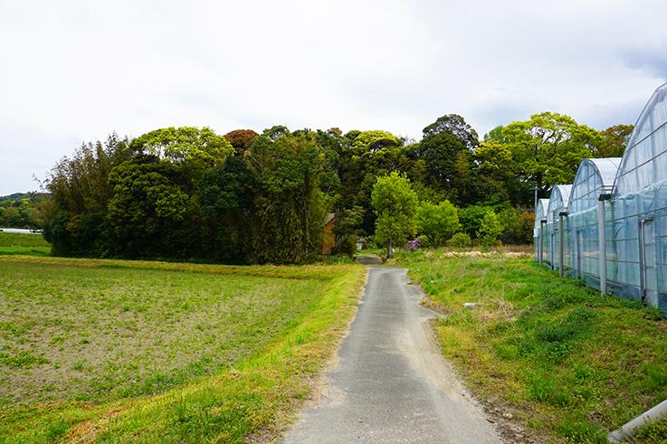 糸島市志摩井田原の売買物件/この道の先に見えているのが、今回ご紹介する物件です。
