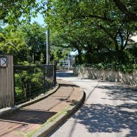 福岡市東区名島の売買物件/春には桜満開のアプローチもいいんです。