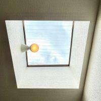 福岡市中央区大濠の賃貸物件/LDKの天窓からも光が。
