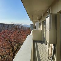 福岡市城南区金山団地の賃貸物件/バルコニー。春には桜、秋には赤く色づいた木々たちが。