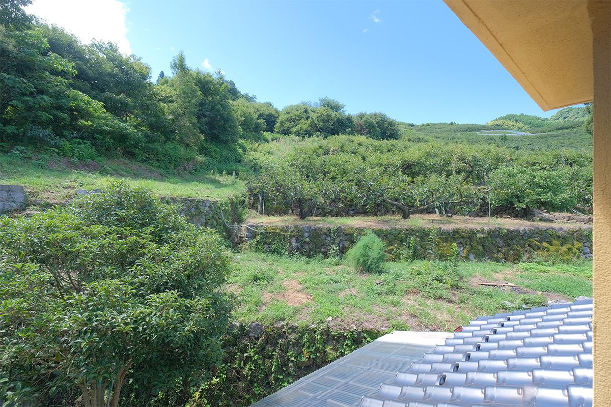 うきは市浮羽町流川の売買物件/裏側（玄関側なので厳密には表ですが。）長閑だー。
