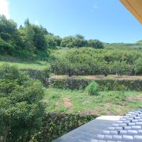 うきは市浮羽町流川の売買物件/裏側（玄関側なので厳密には表ですが。）長閑だー。