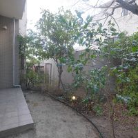 春日市春日原北町の売買物件/隣接マンション側の緑は控えめ。十分気持ちいいけど。