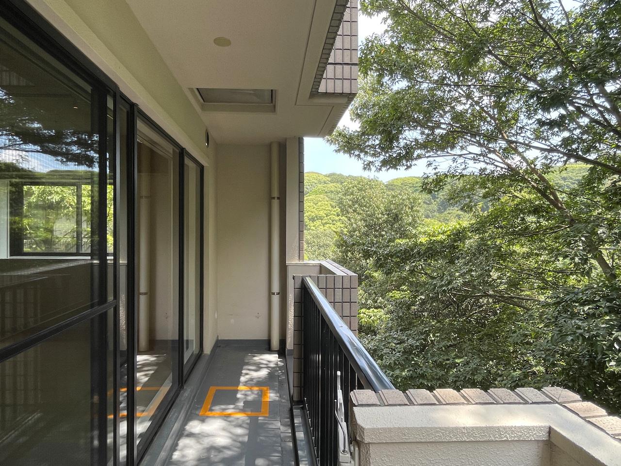 福岡市中央区桜坂の賃貸物件/緑とハイタッチできそうな距離