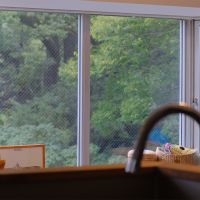 福岡市中央区赤坂の売買物件/キッチンからの視点。どこにいても緑。