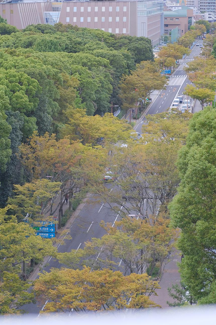 福岡市中央区赤坂の売買物件/屋上から大濠方面を眺める。見下ろす視点もいいものです。