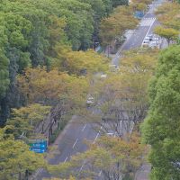 福岡市中央区赤坂の売買物件/屋上から大濠方面を眺める。見下ろす視点もいいものです。