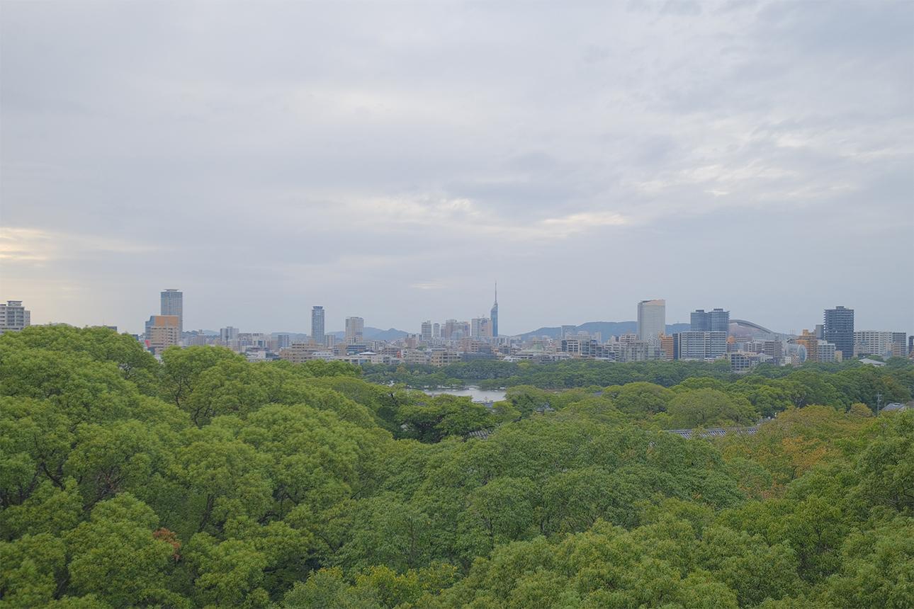 福岡市中央区赤坂の売買物件/そしてこの景色。山ですか？