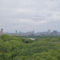 福岡市中央区赤坂の売買物件/そしてこの景色。山ですか？