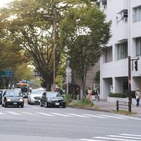福岡市中央区赤坂の売買物件/前面道路との関係。街の雰囲気ごと素敵なのです。
