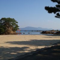 福岡県宗像市大島宇神崎の売買物件/夢の小夜島。松に覆われた小さな島は干潮時にだけ現れる「海の道」を通って参拝することも可能。
