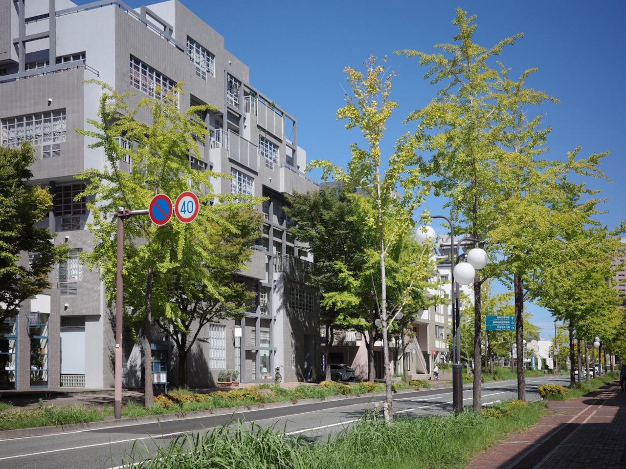 福岡市早良区百道浜の売買物件/マンション正面は世界の建築家通り。周囲は道路も整備がされ、木々の緑がうつくしい街並みです。