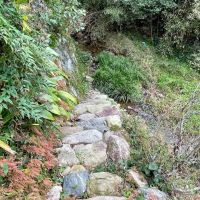 糸島市飯原の売買物件/敷地内から川におりることができます。