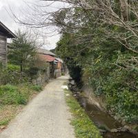 糸島市飯原の売買物件/ついつい散歩散歩してました。