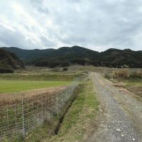 糸島市飯原の売買物件/おぉ。この道を進むと山に行けます。