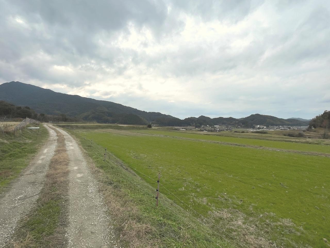 糸島市飯原の売買物件/なんて気持ちいんだ。夕日が沈むのも見れるそうです。