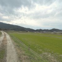 糸島市飯原の売買物件/なんて気持ちいんだ。夕日が沈むのも見れるそうです。