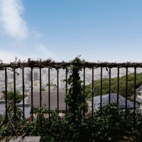 福岡県北九州市小倉北区妙見町の売買物件/フェンスには蔦が巻き、暖かい時期には緑のカーテンができるそう。