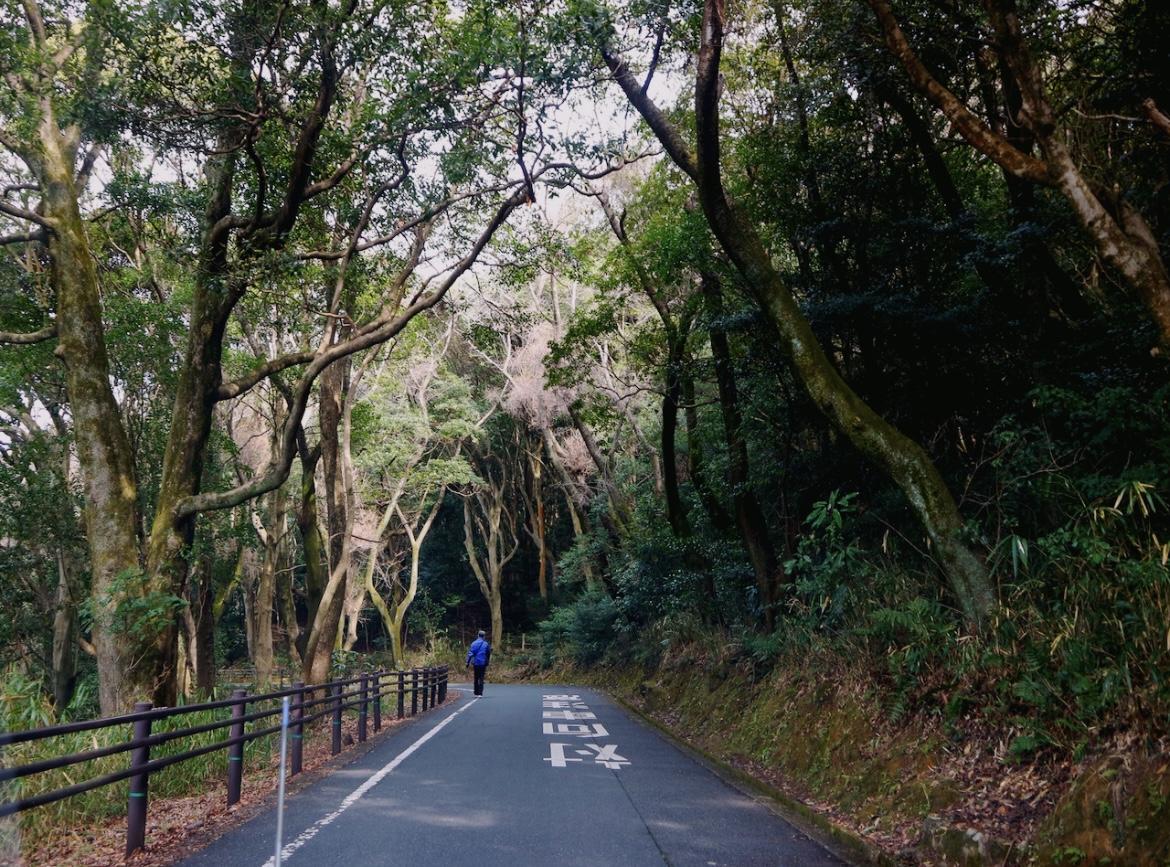 福岡県北九州市小倉北区妙見町の売買物件/ドライブにもハイキングにも気持ちがいいコースを通って到着。