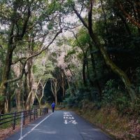 福岡県北九州市小倉北区妙見町の売買物件/ドライブにもハイキングにも気持ちがいいコースを通って到着。