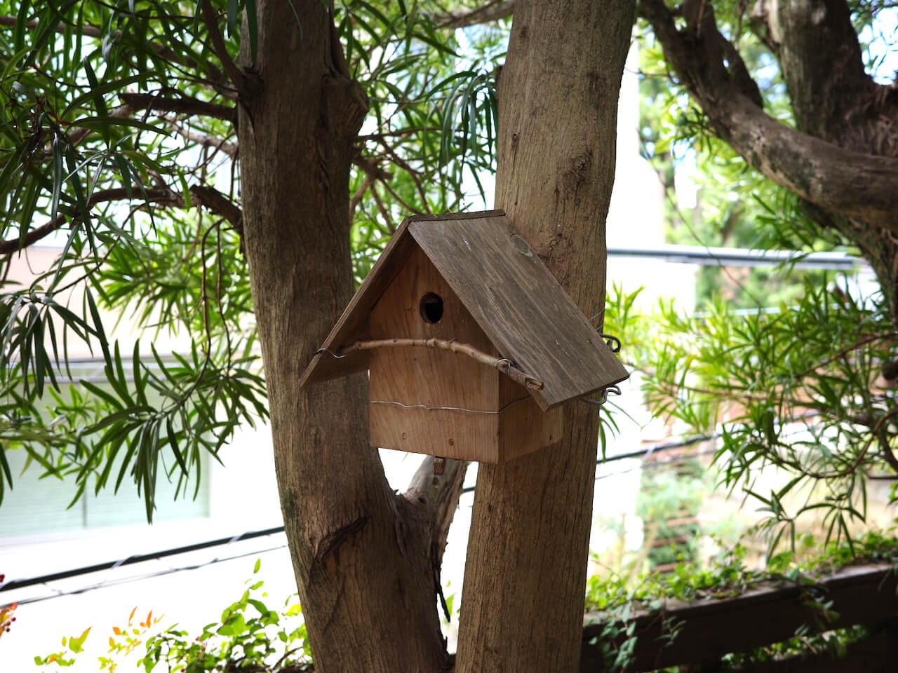 福岡市中央区桜坂の賃貸物件/お庭の木には可愛らしい鳥小屋が。