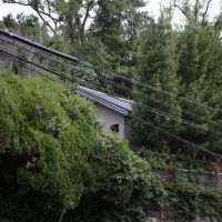 福岡市中央区桜坂の賃貸物件/木々のおかげで外からの視界を遮ってくれます。