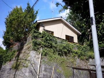 福岡市中央区桜坂の賃貸物件/都心で緑を感じて