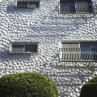福岡市中央区大濠の賃貸物件/佐官職人さんにより造られた鱗模様の壁。