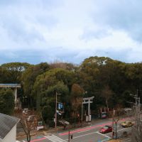 福岡市中央区六本松3丁目の賃貸物件/朝イチに眺めることが日課になりそう。