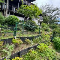 大分県別府市大字鶴見字角山の売買物件/家庭菜園を楽しむスペースがあります。