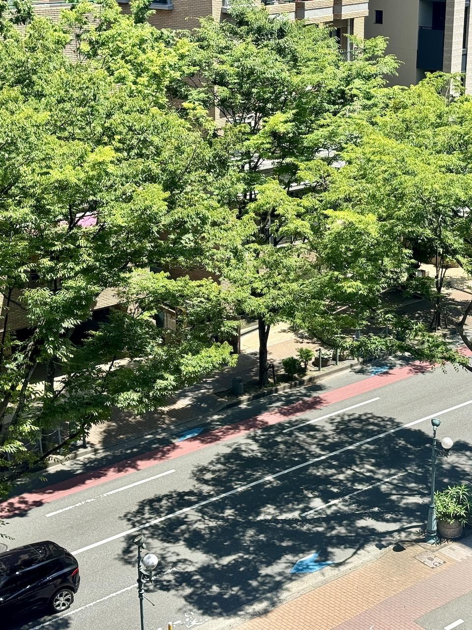 福岡市中央区赤坂の賃貸物件/けやき通り一列目なので眺望も良い。