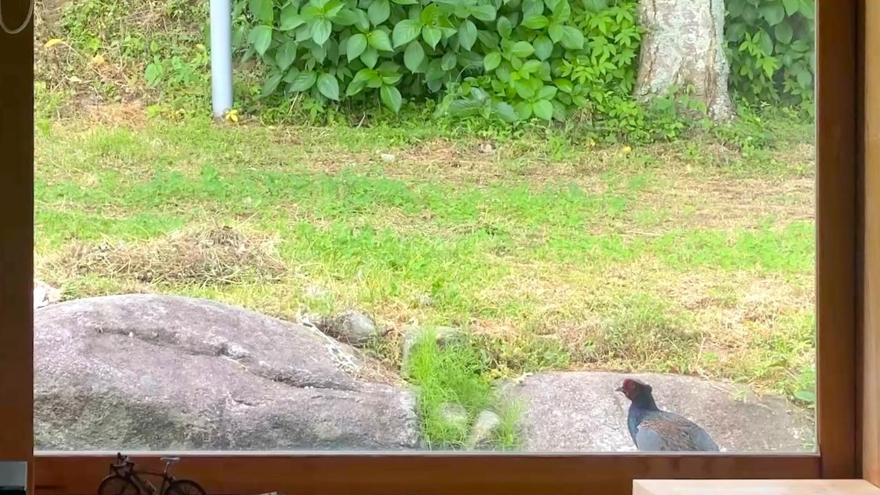 糸島市二丈吉井の賃貸物件/たまにキジが遊びにきたりします。