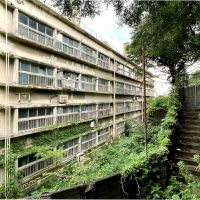 福岡県北九州市門司区畑田町の賃貸物件/裏からの１枚。この階段を登ると・・・