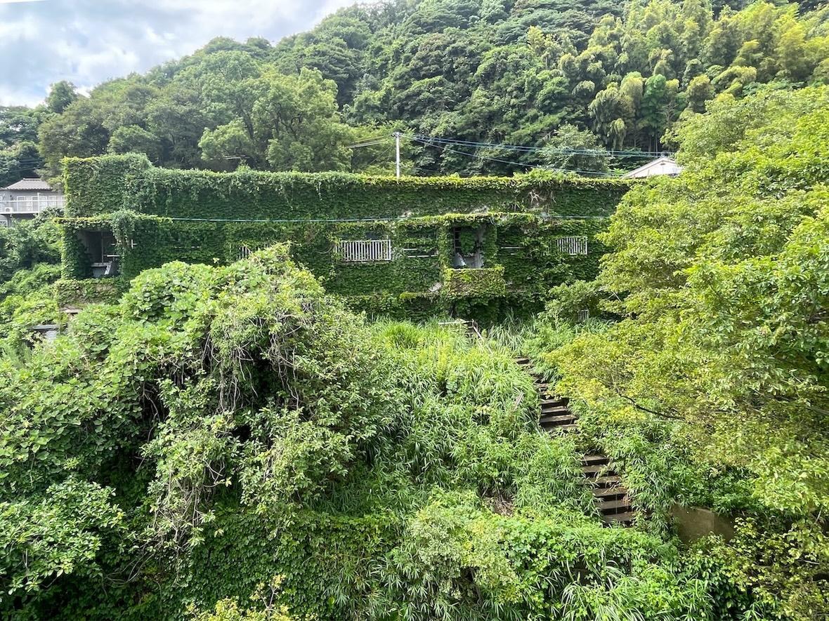 福岡県北九州市門司区畑田町の賃貸物件/この緑に覆われたB棟があります。こちらも今後展開していく予定。緑はこのままが良いね。