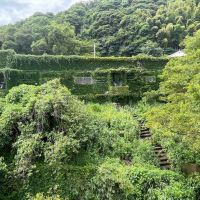 福岡県北九州市門司区畑田町の賃貸物件/この緑に覆われたB棟があります。こちらも今後展開していく予定。緑はこのままが良いね。