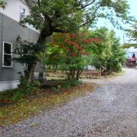大分県由布市湯布院町の売買物件/静かな環境を求めてきた移住者も多く、別荘としてではなく、
定住されている方もおられるとか。