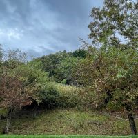 大分県由布市湯布院町の売買物件/視界に他の建物が入らず、隣地に家があることを忘れてしまう風景です。