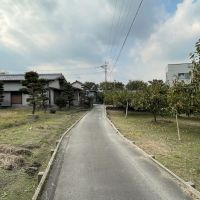 久留米市紅桃林の賃貸物件/向かいには、柿の木がたくさん。