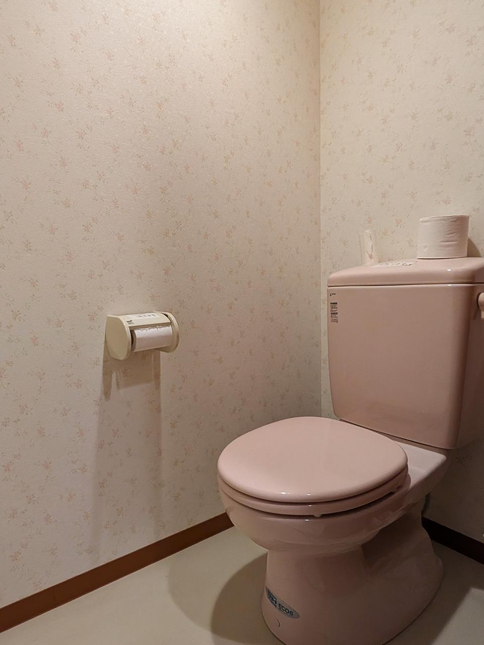 福岡市中央区桜坂の賃貸物件/お手洗い。男女別に複数あります。