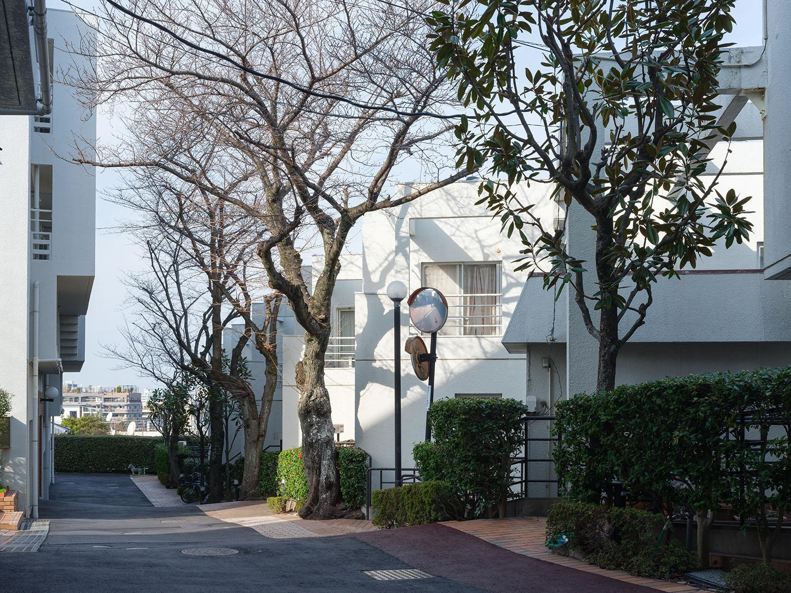 福岡市南区平和の売買物件/共用部の雰囲気もGOOD。