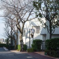福岡市南区平和の売買物件/共用部の雰囲気もGOOD。