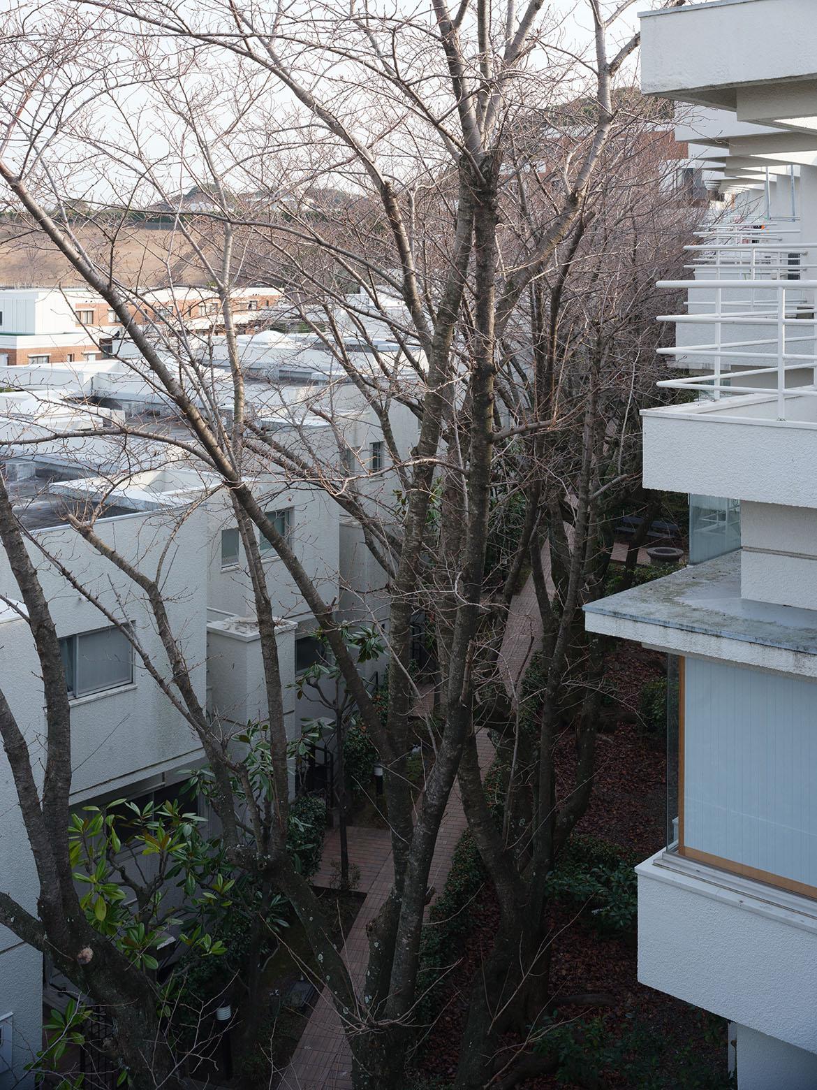 福岡市南区平和の売買物件/各戸を斜めにずらして配置する雁行型デザイン。採光や通風の面でメリットを享受しやすい。そして、なによりかっこいい。
