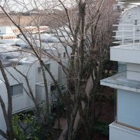 福岡市南区平和の売買物件/各戸を斜めにずらして配置する雁行型デザイン。採光や通風の面でメリットを享受しやすい。そして、なによりかっこいい。